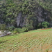 IMGP0938(Cueva del Indio)