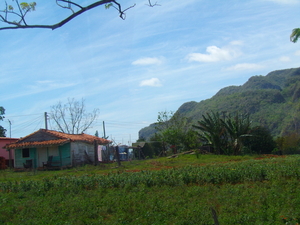 IMGP0945 (onderweg naar Vinales)