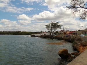 IMGP0980