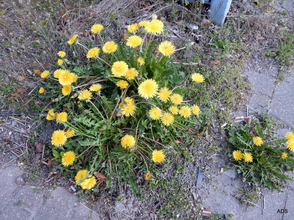 10-
