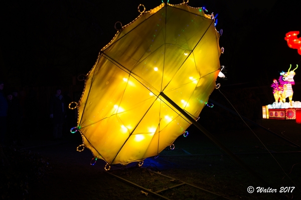 Licht Show-14