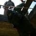 OL7 (1)