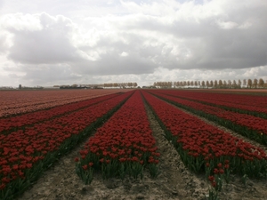 P4130006