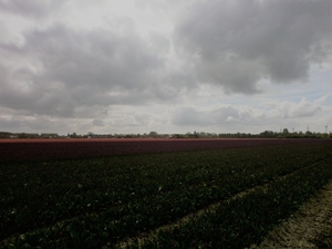 P4130027