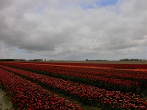 P4130029