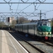 766 - 26.03.2017  in Schiedam