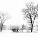 sneeuwlandschap 01