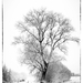 sneeuwlandschap 05