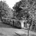 105, lijn 14, Noordsingel, 9-6-1961 (H.M. Mertens)