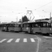 114, lijn 15, Oostplein, 29-5-1967 (J. Oerlemans)