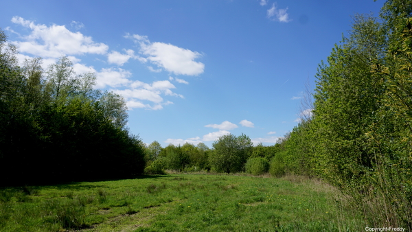 Bergmolenbos-Rumbeke-19-4-2017