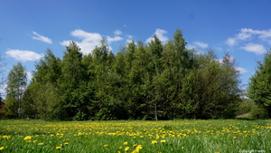 Bergmolenbos-Rumbeke-19-4-2017