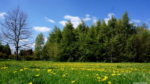 Bergmolenbos-Rumbeke-19-4-2017