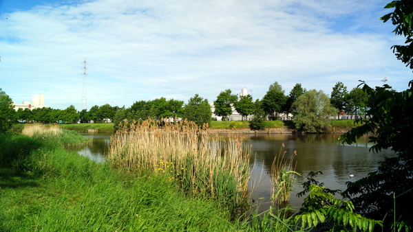 Kanaal-Roeselare-16-5-2017-7