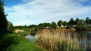 Kanaal-Roeselare-16-5-2017-8