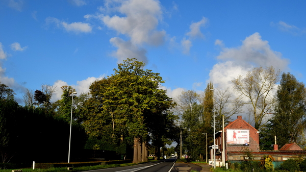 natuurfoto's,zichten,landschap