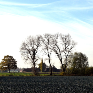 Oostnieuwkerke-17-11-2017