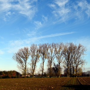 Roeselare-Diksmuidesteenweg-17-11-2017