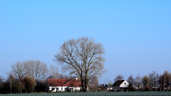 Roeselare-De Ruiter-22-02-2018