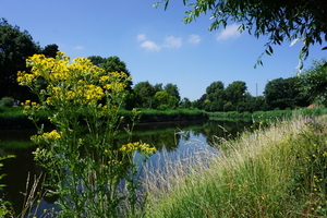 Roeselare-Stadspark-20-6-2018-3