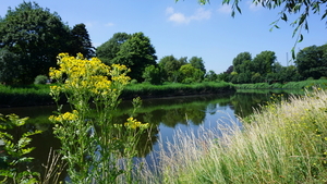 Roeselare-Stadspark-20-6-2018-4