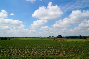 Westrozebeke--14-8-2018