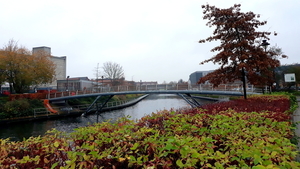 Roeselare-Kleine-Bassin-5-12-2018