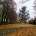 Roeselare-Herfst-Oud Kerk.-Blekerijstr-15-11-2018