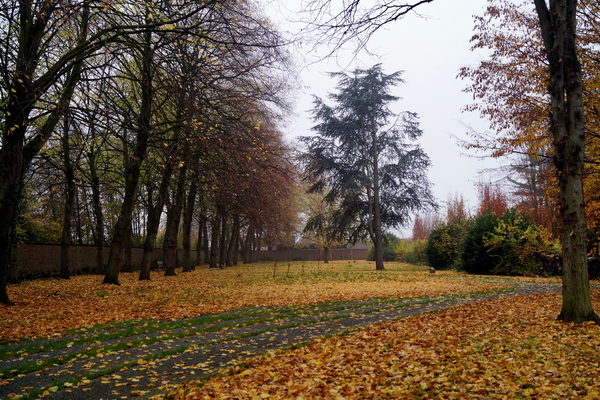 Roeselare-Herfst-Oud Kerk.-Blekerijstr-15-11-2018