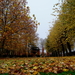 Roeselare-Herfst-Oud Kerk.-Blekerijstr-15-11-2018