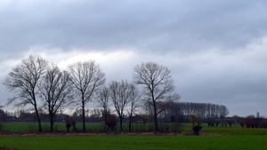 Roeselare-Ieperstraat-(Ruiter)