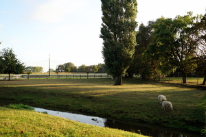 Roeselare-Schiervelde-27-09-2019