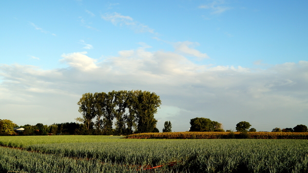 Roeselare-Schiervelde-27-09-2019