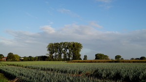 Roeselare-Schiervelde-27-09-2019