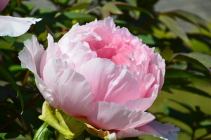 041