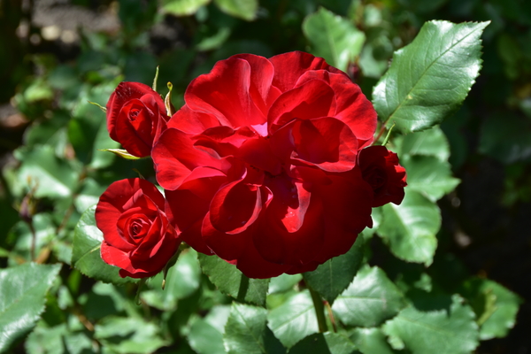 051