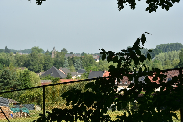 DSC_2449