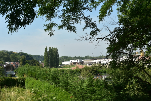 DSC_2470