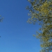 100_8597
