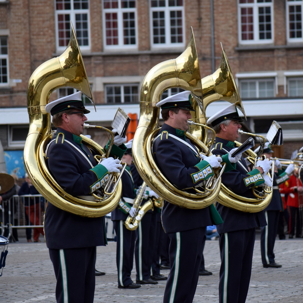 V-Day-Taptoe-Roeselare-6-5-2017-48