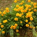 botanisch park fournes (21)
