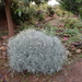 botanisch park fournes (71)