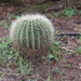 botanisch park fournes (74)