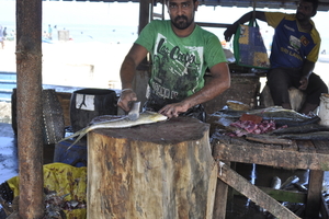 _DSC0016