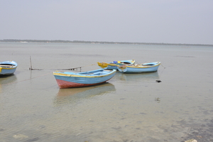 _DSC0409