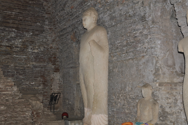 _DSC0060