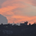_DSC0218