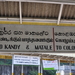_DSC0295