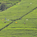 _DSC0331