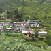 _DSC0335